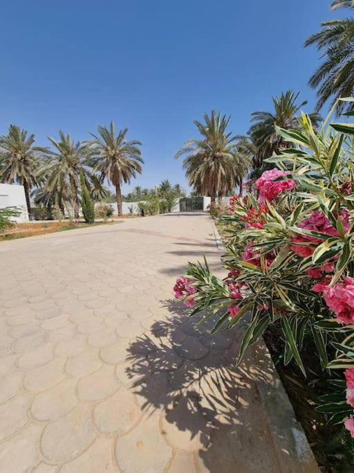Dar Jamila - Au Coeur De L'Oasis - Vila Gabès Exterior foto